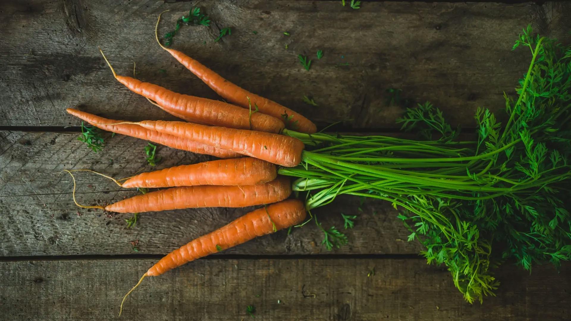 Opbevaring af gulerødder: Din guide til friske gulerødder