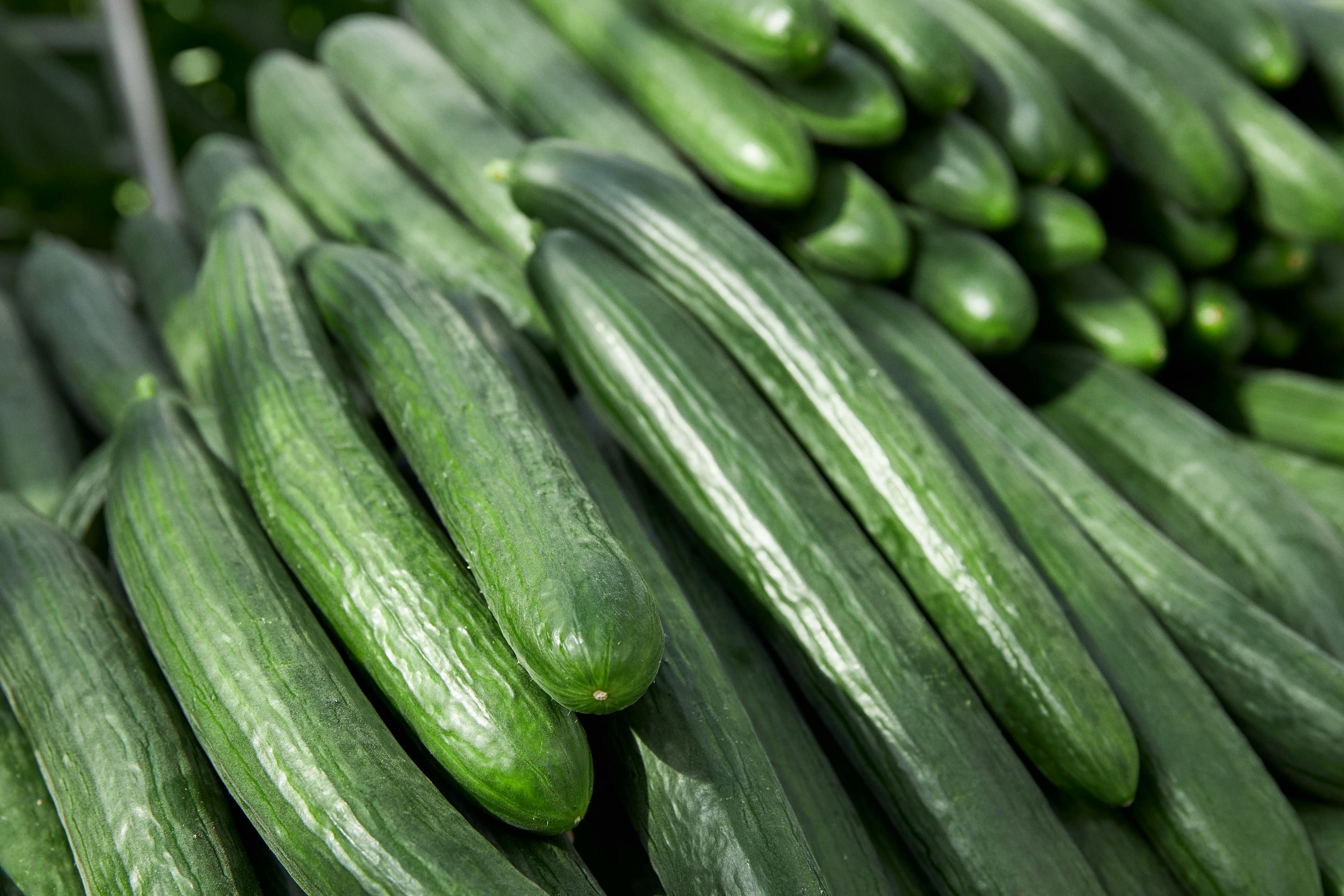  Opbevaring af agurker: Sådan bevarer du friskhed og smag